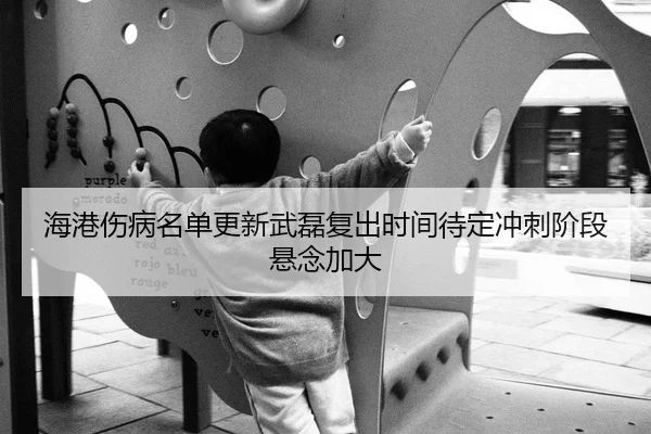 海港伤病名单更新武磊复出时间待定冲刺阶段悬念加大
